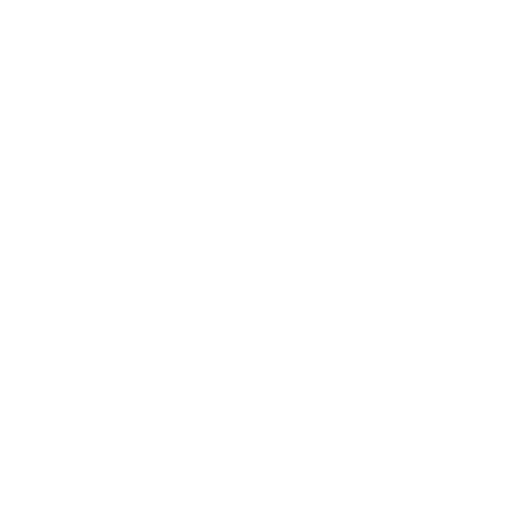 Captain Couriers Logo